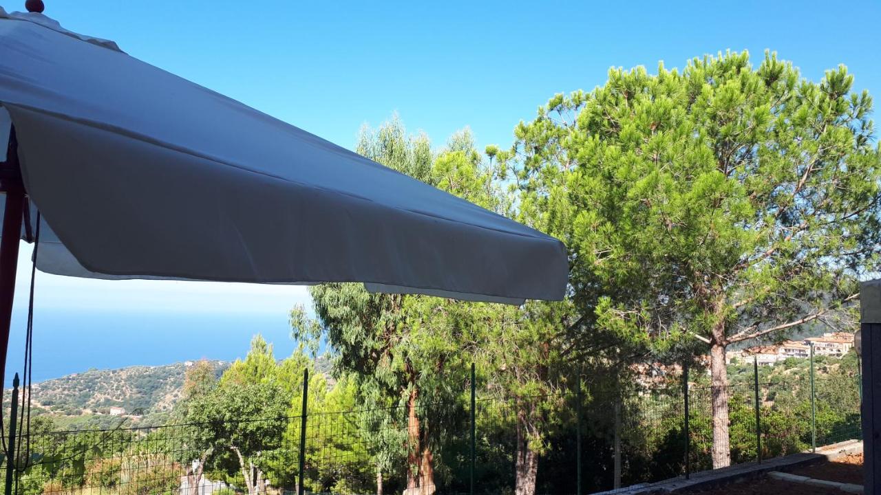 Le Pigne Casa Vacanze. Pollica Exterior foto